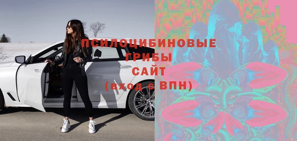 твердый Богородск