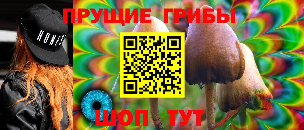 Галлюциногенные грибы Psilocybe  Вход с VPN  Воркута 